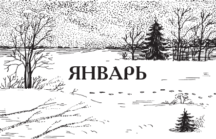 Календарь народной мудрости. Приметы, пословицы, обычаи, сад, огород, кухня - _01.png