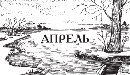 Календарь народной мудрости. Приметы, пословицы, обычаи, сад, огород, кухня - _18.png