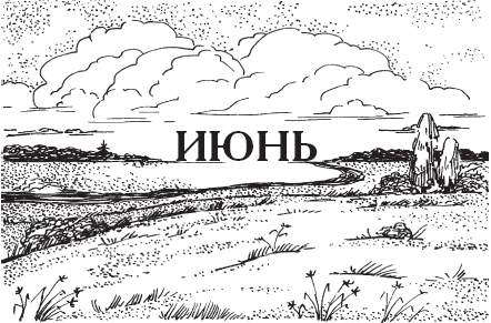 Календарь народной мудрости. Приметы, пословицы, обычаи, сад, огород, кухня - _26.png