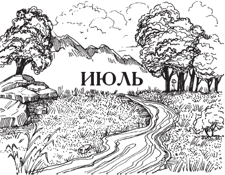 Календарь народной мудрости. Приметы, пословицы, обычаи, сад, огород, кухня - _32.png