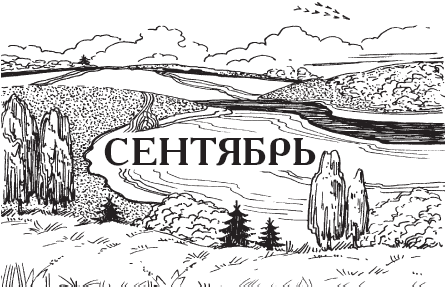 Календарь народной мудрости. Приметы, пословицы, обычаи, сад, огород, кухня - _40.png