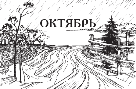 Календарь народной мудрости. Приметы, пословицы, обычаи, сад, огород, кухня - _42.png