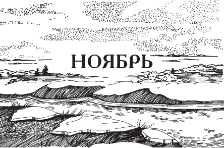 Календарь народной мудрости. Приметы, пословицы, обычаи, сад, огород, кухня - _45.png