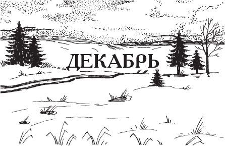 Календарь народной мудрости. Приметы, пословицы, обычаи, сад, огород, кухня - _47.png