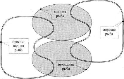 Лабиринты мышления или учеными не рождаются - img_133.jpg