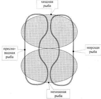 Лабиринты мышления или учеными не рождаются - img_134.jpg