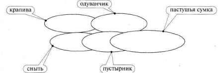 Лабиринты мышления или учеными не рождаются - img_59.jpg