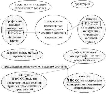 Лабиринты мышления или учеными не рождаются - img_203.jpg
