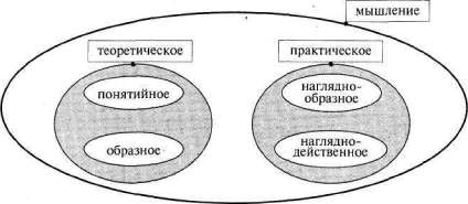Лабиринты мышления или учеными не рождаются - img_277.jpg