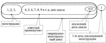 Лабиринты мышления или учеными не рождаются - img_304.jpg