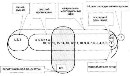 Лабиринты мышления или учеными не рождаются - img_305.jpg