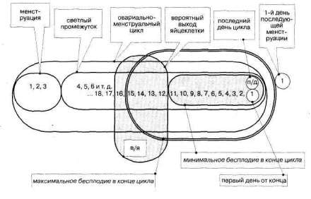 Лабиринты мышления или учеными не рождаются - img_306.jpg