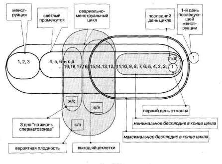 Лабиринты мышления или учеными не рождаются - img_307.jpg