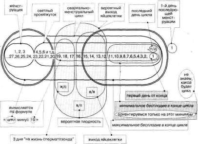 Лабиринты мышления или учеными не рождаются - img_308.jpg