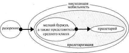 Лабиринты мышления или учеными не рождаются - img_316.jpg