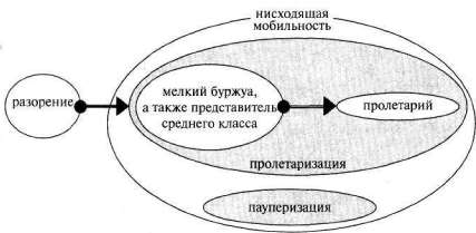 Лабиринты мышления или учеными не рождаются - img_317.jpg