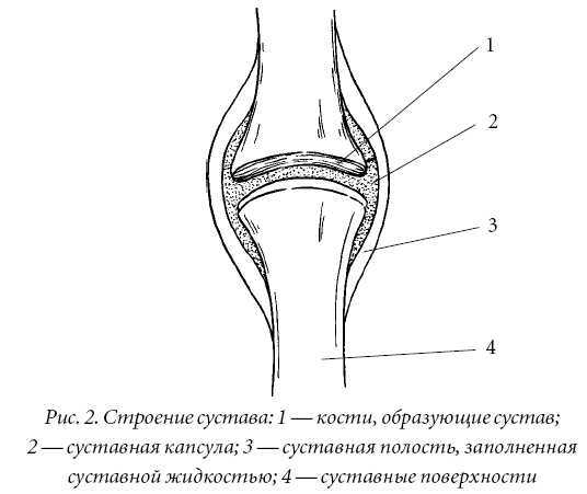 Лечение спины и суставов. Лучшие рецепты народной медицины от А до Я - pic2.jpg