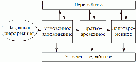 Suреrпамять. Интенсив-тренинг для развития памяти - _11.png