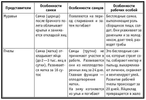 Тематическое и поурочное планирование по биологии. 7 класс - tab13.jpg