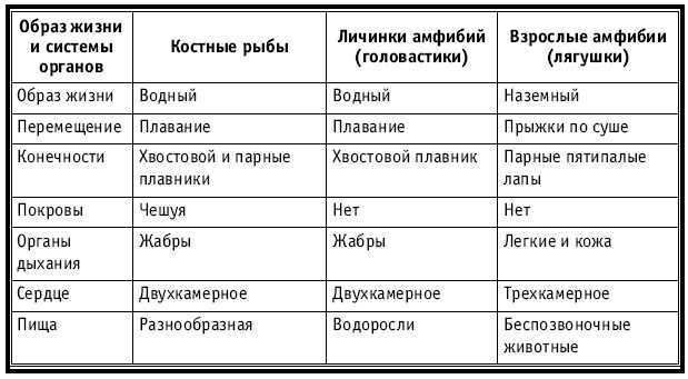 Тематическое и поурочное планирование по биологии. 7 класс - tab18.jpg