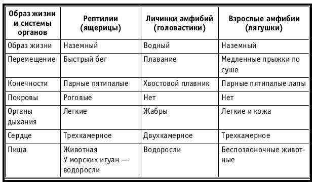 Тематическое и поурочное планирование по биологии. 7 класс - tab19.jpg