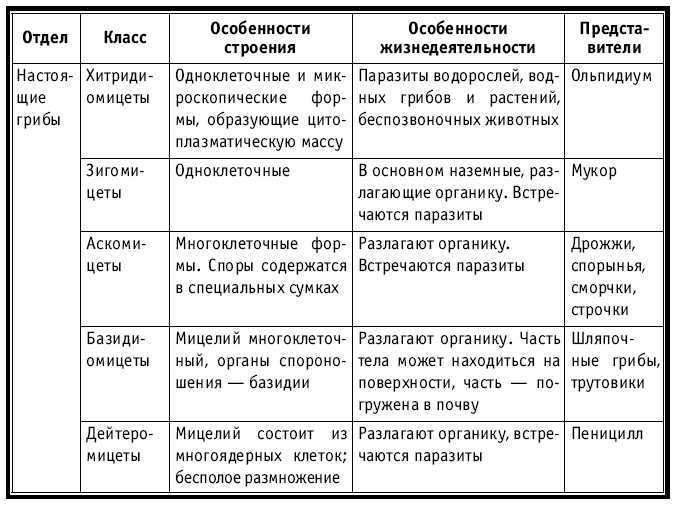 Тематическое и поурочное планирование по биологии. 7 класс - tab2.jpg