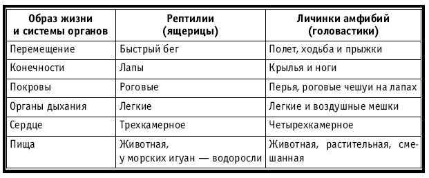 Тематическое и поурочное планирование по биологии. 7 класс - tab20.jpg