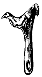 Доисторические и внеисторические религии. История религий - pic_7.png