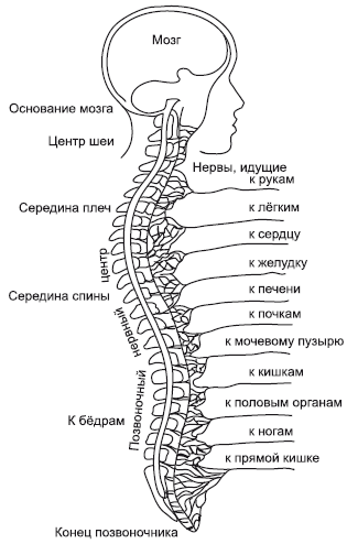 Зрение на 100%. Фитнес и диета для глаз - i_015.png