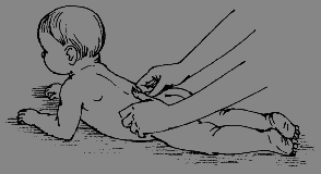 Детский массаж. Поэтапное руководство - i_020.png