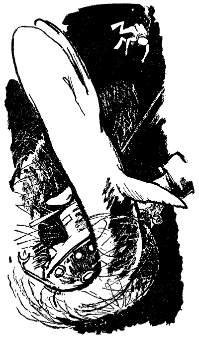 Искатель. 1967. Выпуск №3 - i_029.png