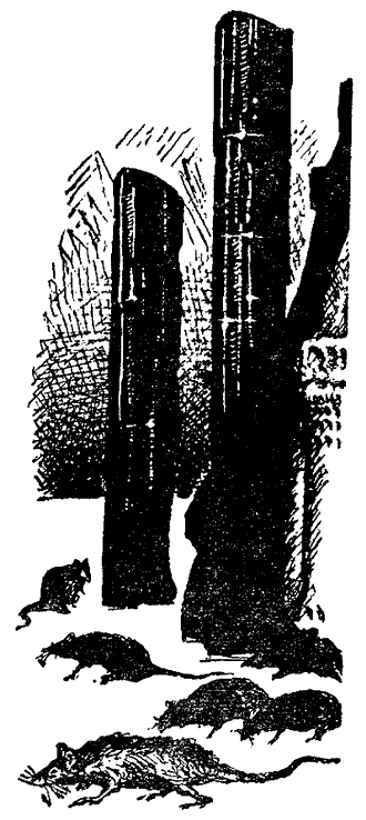 Искатель. 1969. Выпуск №4 - i_012.png