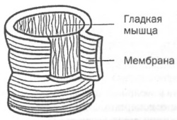 Управление голосом - i_007.jpg