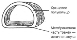 Управление голосом - i_008.jpg