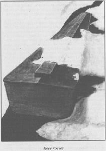 Ноев ковчег и Свитки Мертвого моря - i_005.jpg