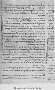 Ноев ковчег и Свитки Мертвого моря - i_009.jpg