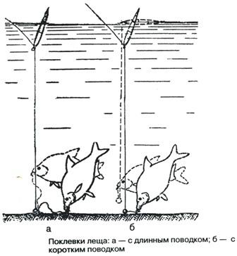 Тайны рыбацкого счастья - i_013.jpg