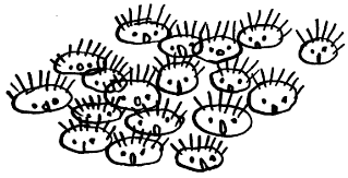 Как было написано первое письмо - i_009.png