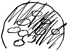 Как было написано первое письмо - i_010.png