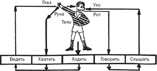 Как развивается ваш ребенок? - i_005.jpg