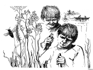 Приключение на реке Лесной (СИ)