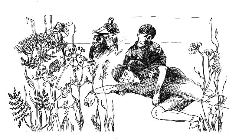 Приключение на реке Лесной (СИ) - doc2fb_image_02000002.jpg