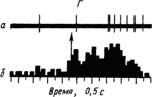 Основы физиологии высшей нервной деятельности - p_026_4.png