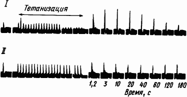 Основы физиологии высшей нервной деятельности - p_029_2.png