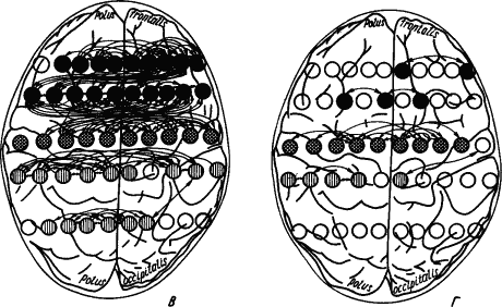 Основы физиологии высшей нервной деятельности - p_169_2.png