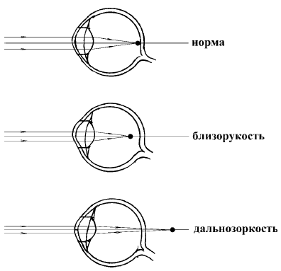 Супер-зрение. Лучшие рецепты народной медицины от А до Я - i_002.png