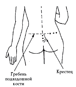 Симфония для позвоночника. 100 исцеляющих поз - _053_1.png