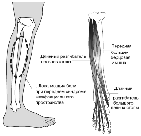 Все о здоровье ваших ног. От младенчества до старости - pic_15.png