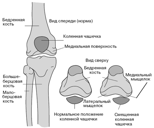 Все о здоровье ваших ног. От младенчества до старости - pic_16.png