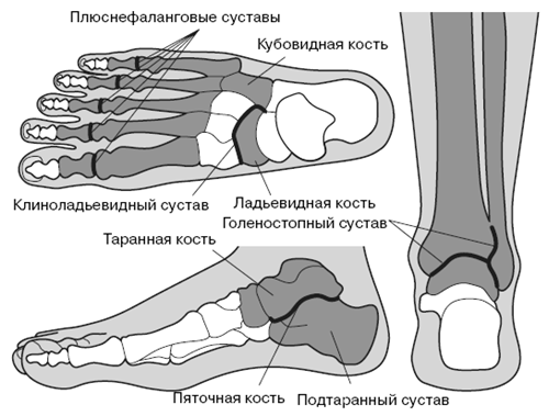 Все о здоровье ваших ног. От младенчества до старости - pic_2.png